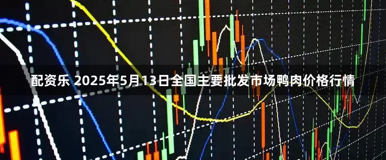 配资乐 2025年5月13日全国主要批发市场鸭肉价格行情
